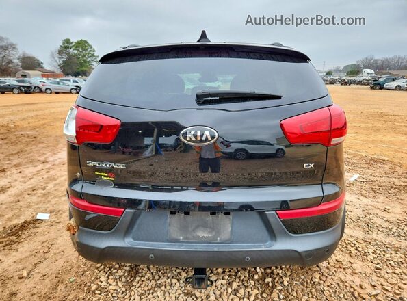 KNDPC3AC7G7845722 2016 KIA SPORTAGE Черный Вид сзади