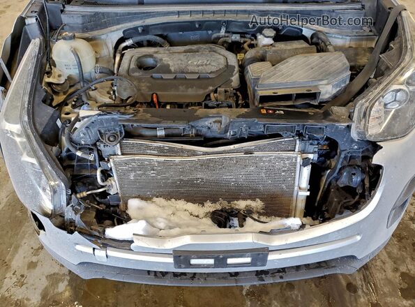 KNDPM3AC6K7616437 2019 KIA SPORTAGE Серебряный Вид задней части салона