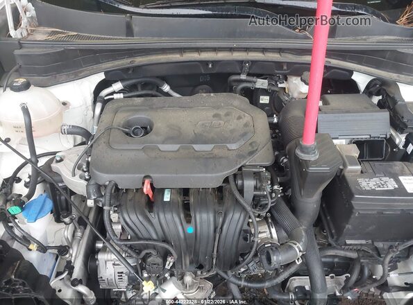 KNDPM3AC7M7915437 2021 KIA SPORTAGE Белый Вид сзади