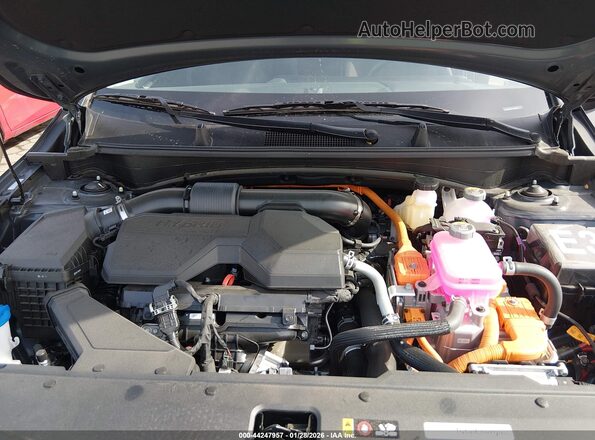 KNDPU3DG2T7284836 2026 KIA SPORTAGE HYBRID Серый Вид сзади
