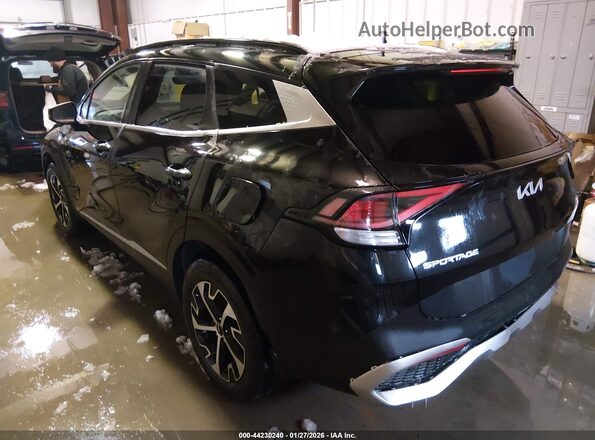 KNDPVCAG8P7078444 2023 KIA SPORTAGE HYBRID Black Задня ліва чверть