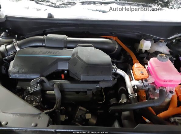 KNDPVCDG2R7157459 2024 KIA SPORTAGE HYBRID Black Widok z tyłu