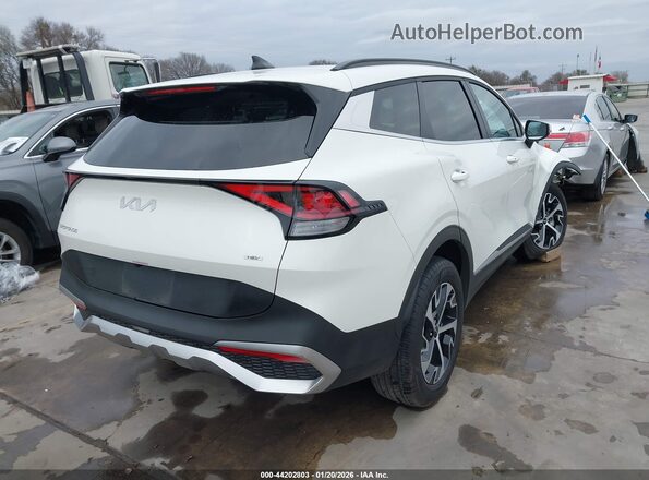 KNDPVCDG4R7128609 2024 KIA SPORTAGE HYBRID Белый Задняя правая четверть