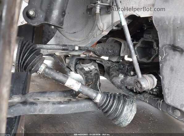 KNDPVCDG4R7128609 2024 KIA SPORTAGE HYBRID Белый 