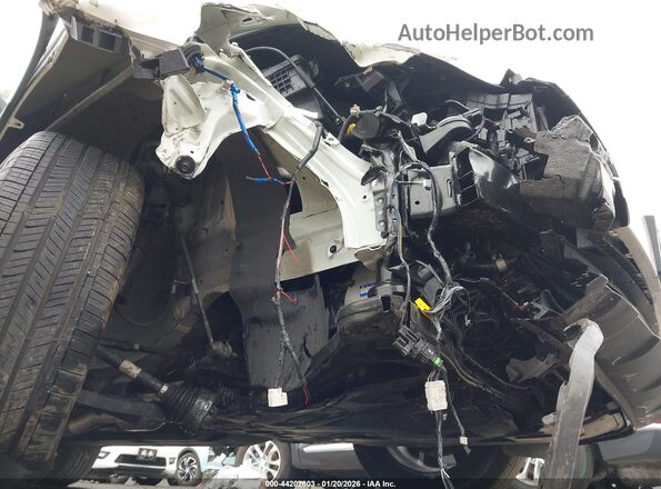 KNDPVCDG4R7128609 2024 KIA SPORTAGE HYBRID Белый 
