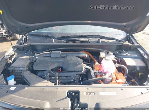 KNDPVCDG5R7134158 2024 KIA SPORTAGE HYBRID Серый Вид сзади