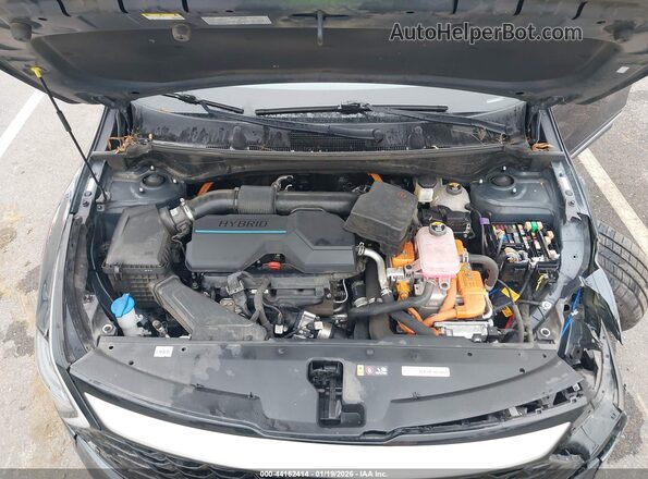 KNDPVCDG5R7145158 2024 KIA SPORTAGE HYBRID Синий Вид сзади