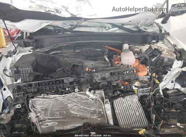 KNDPVCDGXR7134706 2024 KIA SPORTAGE HYBRID Белый Вид сзади