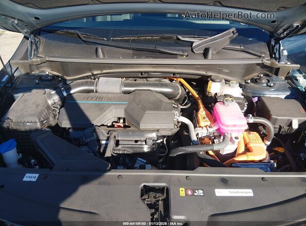 KNDPXCDG6R7161251 2024 KIA SPORTAGE HYBRID Синий Вид сзади
