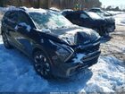 2023 Kia Sportage Plug-in Hybrid X-line Black vin: KNDPYDAH3P7062478