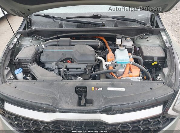 KNDPYDDH8R7150246 2024 KIA SPORTAGE PLUG-IN HYBRID Зеленый Вид сзади