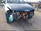 2023 Kia Sportage Plug-in Hybrid X-line Prestige Серый vin: KNDPZDAH5P7073706