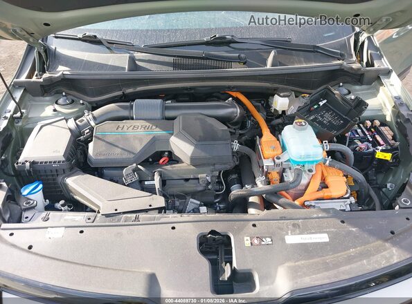 KNDPZDAH5P7107000 2023 KIA SPORTAGE PLUG-IN HYBRID Green Widok z tyłu