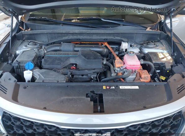 KNDRHDLG7P5130662 2023 KIA SORENTO HYBRID Gray Widok z tyłu