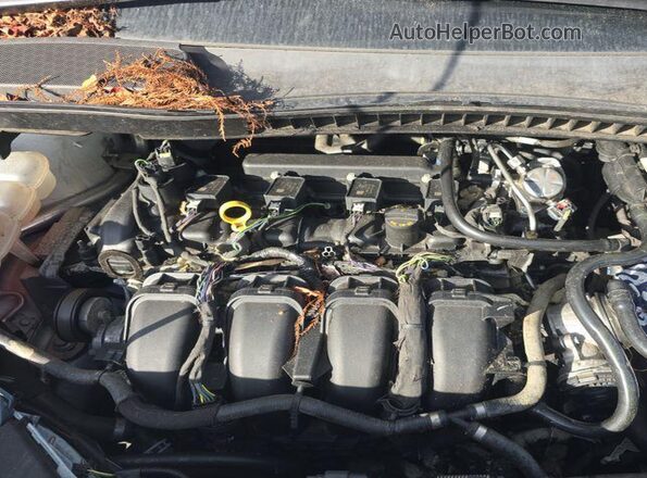 NM0LS7E21M1502443 2021 FORD TRANSIT CONNECT  უკანა სავარძლების ხედი