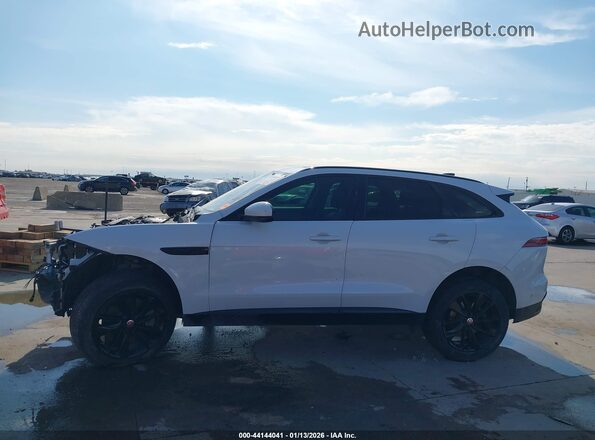 SADCJ2EU1MA667276 2021 JAGUAR F-PACE Белый 