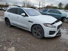 2019 Jaguar F-pace R - Sport Белый vin: SADCL2GXXKA355181