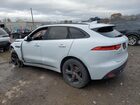 2019 Jaguar F-pace R - Sport Белый vin: SADCL2GXXKA355181