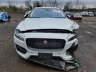 2019 Jaguar F-pace R - Sport Белый vin: SADCL2GXXKA355181