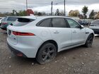 2019 Jaguar F-pace R - Sport Белый vin: SADCL2GXXKA355181