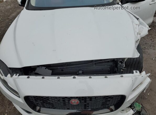 SADCL2GXXKA355181 2019 JAGUAR F-PACE Белый Вид задней части салона