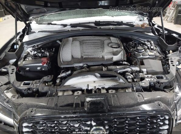 SADCT2EX7RA727847 2024 JAGUAR F-PACE Black Widok z tyłu