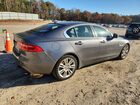 2019 Jaguar Xe Premium Gray vin: SAJAD4FX4KCP49424