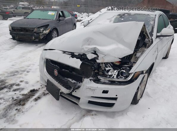 SAJAJ4BN4HA952296 2017 JAGUAR XF Белый Вид спереди