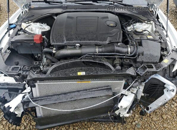 SAJAT4GXXLCP63752 2020 JAGUAR XF Белый Вид задней части салона