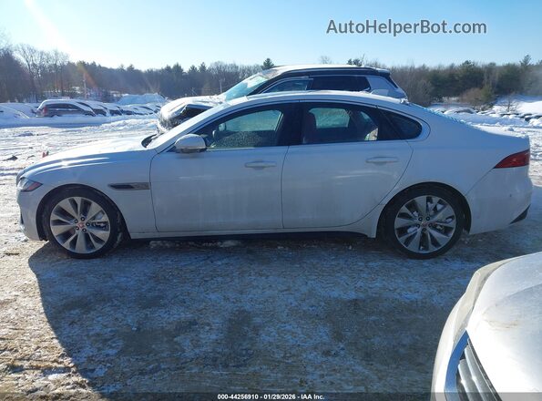SAJBL4GX4MCY90227 2021 JAGUAR XF Белый Панорамный вид салона 360°