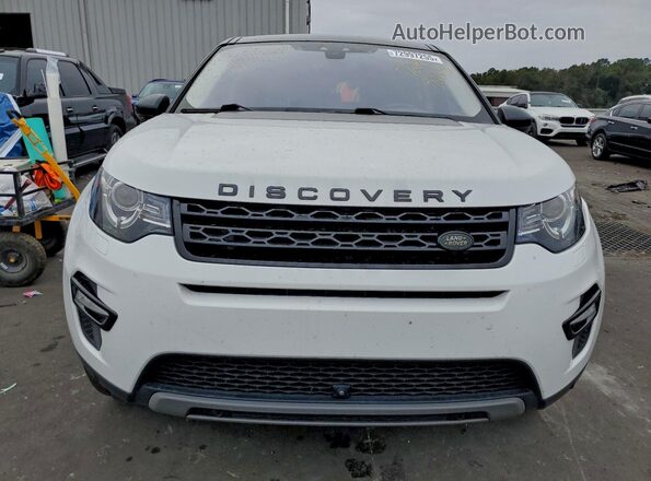 SALCR2FX6KH785706 2019 LAND ROVER DISCOVERY Белый Вид сзади