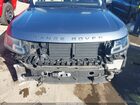 2019 Land Rover Range Rover 3.0l V6 Turbocharged Diesel Td6 Gray vin: SALGR2RK3KA531087