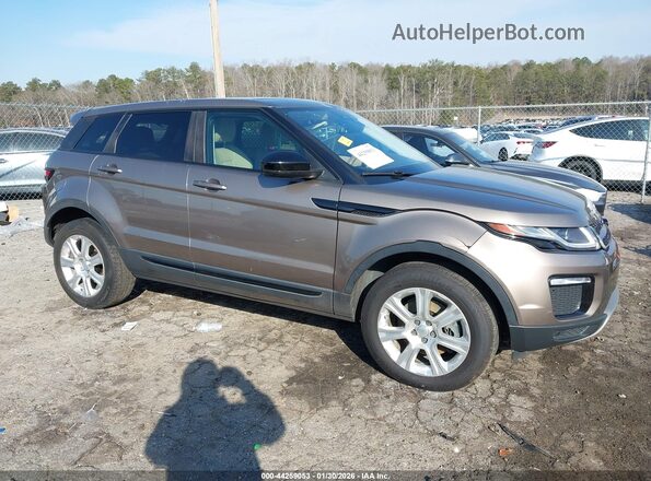 SALVP2BG2HH182202 2017 LAND ROVER RANGE ROVER EVOQUE Коричневый Вид задней части салона