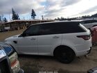2019 Land Rover Range Rover Sport Hse Dynamic Белый vin: SALWV2SV7KA420540