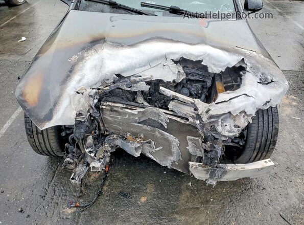 W1KAF4GBXSR281164 2025 MERCEDES-BENZ C Серый Вид задней части салона