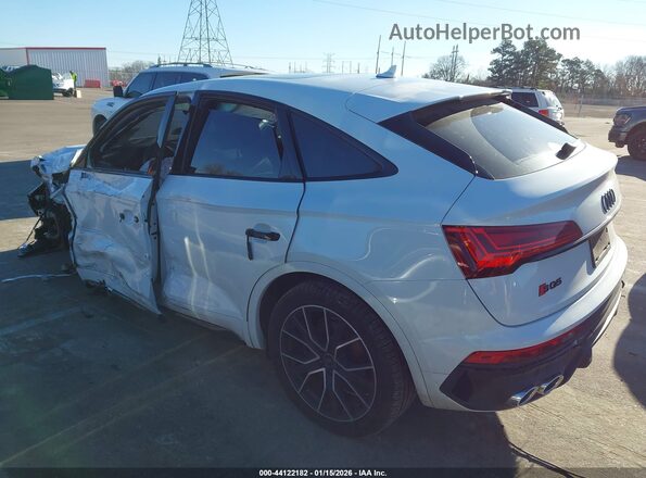 WA124AFY8R2117689 2024 AUDI SQ5 White Հետևի ձախ
