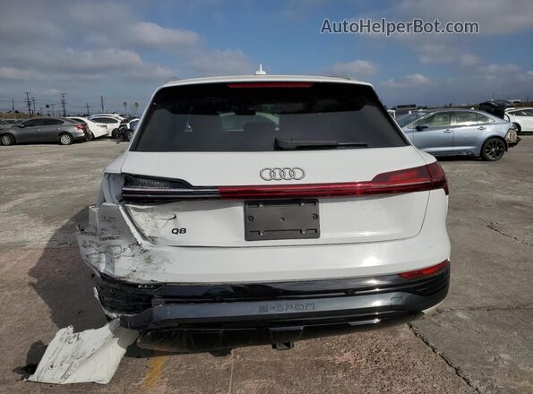 WA15AAGE4RB029068 2024 AUDI Q8 White Rear view