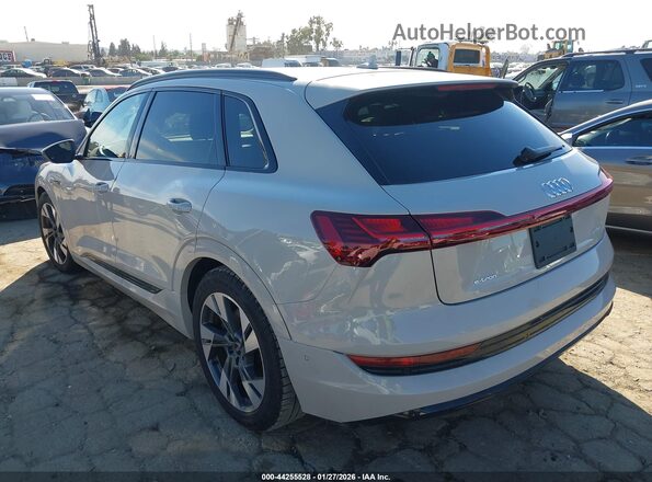 WA1AAAGE1MB018486 2021 AUDI E-TRON Серый Задняя левая четверть