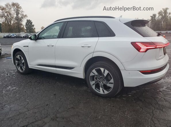 WA1AAAGE8MB010630 2021 AUDI E-TRON White Rear left