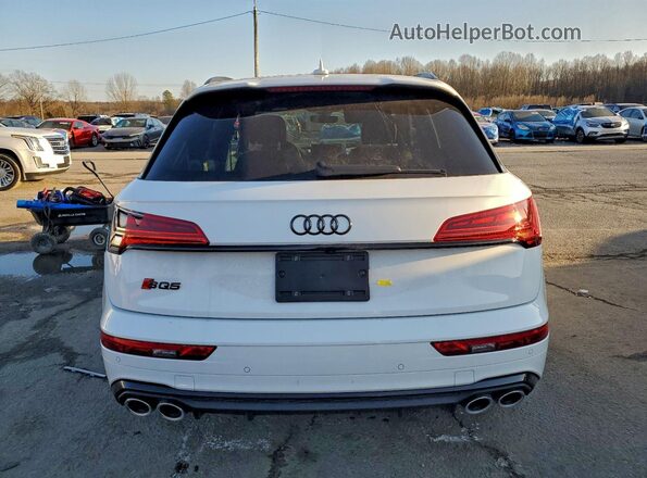 WA1B4AFY1P2034778 2023 AUDI SQ5 Белый Вид сзади