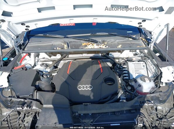 WA1B4AFY2R2042715 2024 AUDI SQ5 Белый Вид сзади