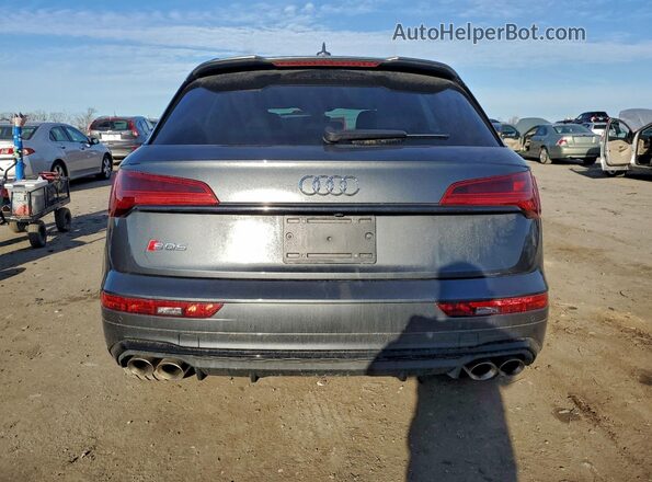 WA1C4AFY3P2079709 2023 AUDI SQ5 Серый Вид сзади