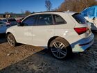 2016 Audi Sq5 Premium Plus White vin: WA1CCAFP0GA120779