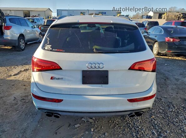 WA1CCAFP0GA120779 2016 AUDI SQ5 White უკანა ხედი