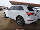 2016 Audi Sq5 3.0t Premium Plus White vin: WA1CCAFP1GA124775