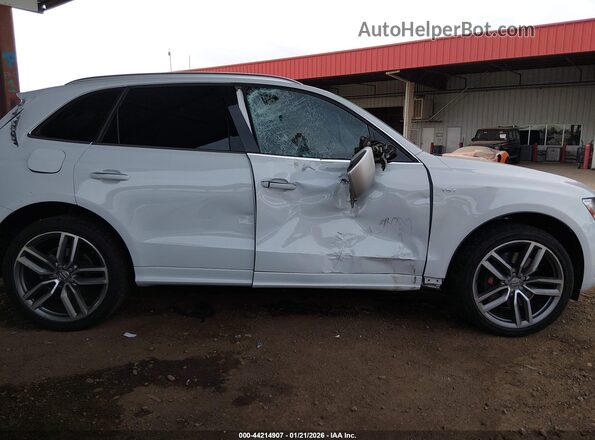 WA1CCAFP1GA124775 2016 AUDI SQ5 White Սալոնի հետևի տեսք