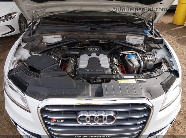 WA1CCAFP1GA124775 2016 AUDI SQ5 White Հետևի տեսք