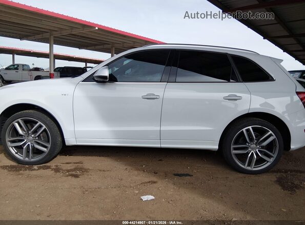 WA1CCAFP1GA124775 2016 AUDI SQ5 White Սալոնի 360 աստիճան տեսք