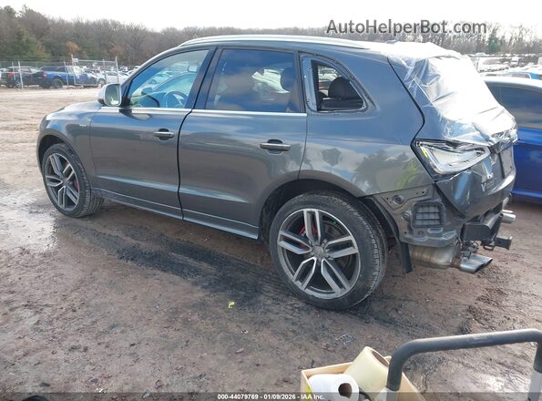 WA1CCAFP3HA005188 2017 AUDI SQ5 Beige Հետևի ձախ
