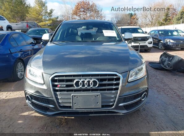 WA1CCAFP3HA005188 2017 AUDI SQ5 Beige Սալոնի հետևի տեսք